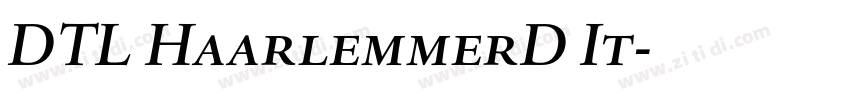 DTL HaarlemmerD It字体转换